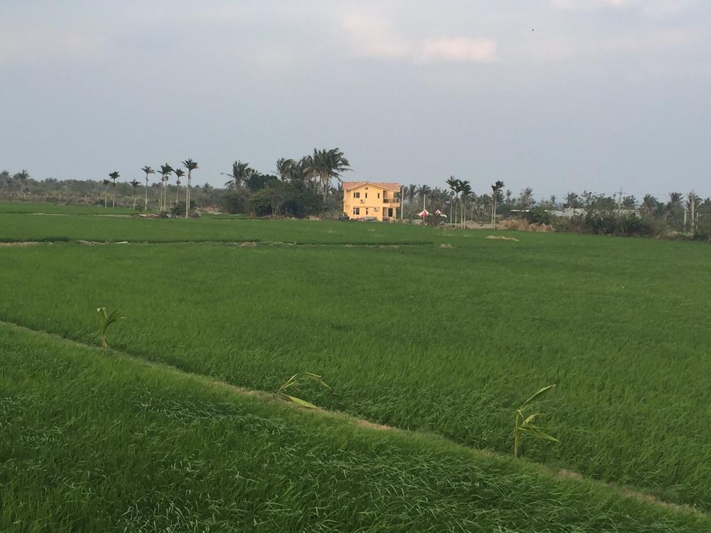 شقة Tamowan دونغهاي المظهر الخارجي الصورة